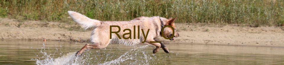 Rally_O